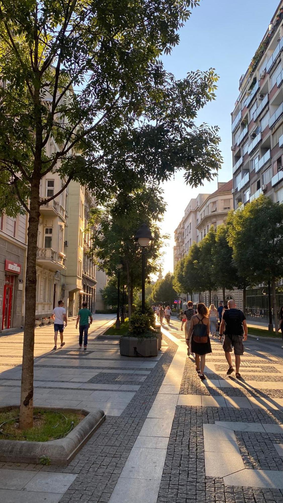 Dom Boutique Apartments - Old Town Beograd Bagian luar foto