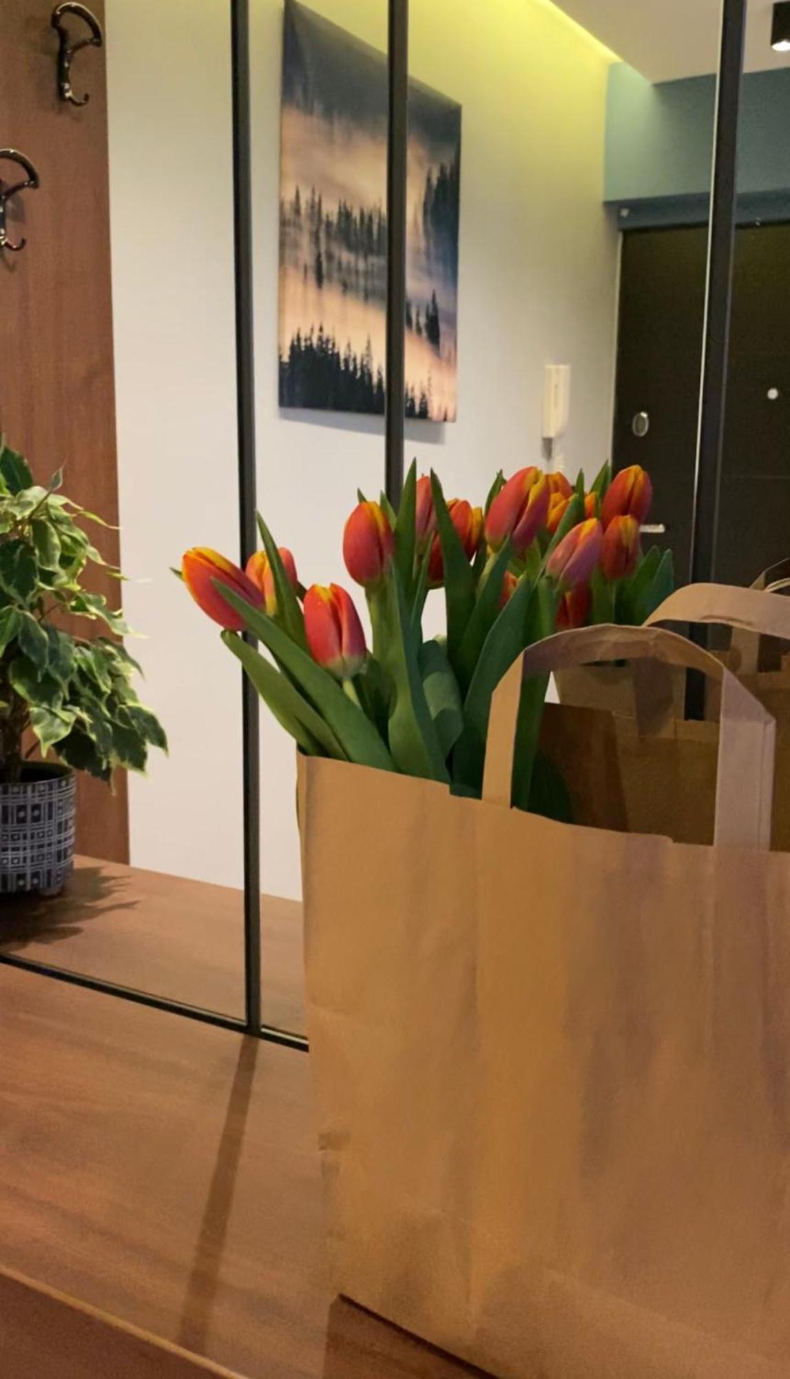 Dom Boutique Apartments - Old Town Beograd Bagian luar foto